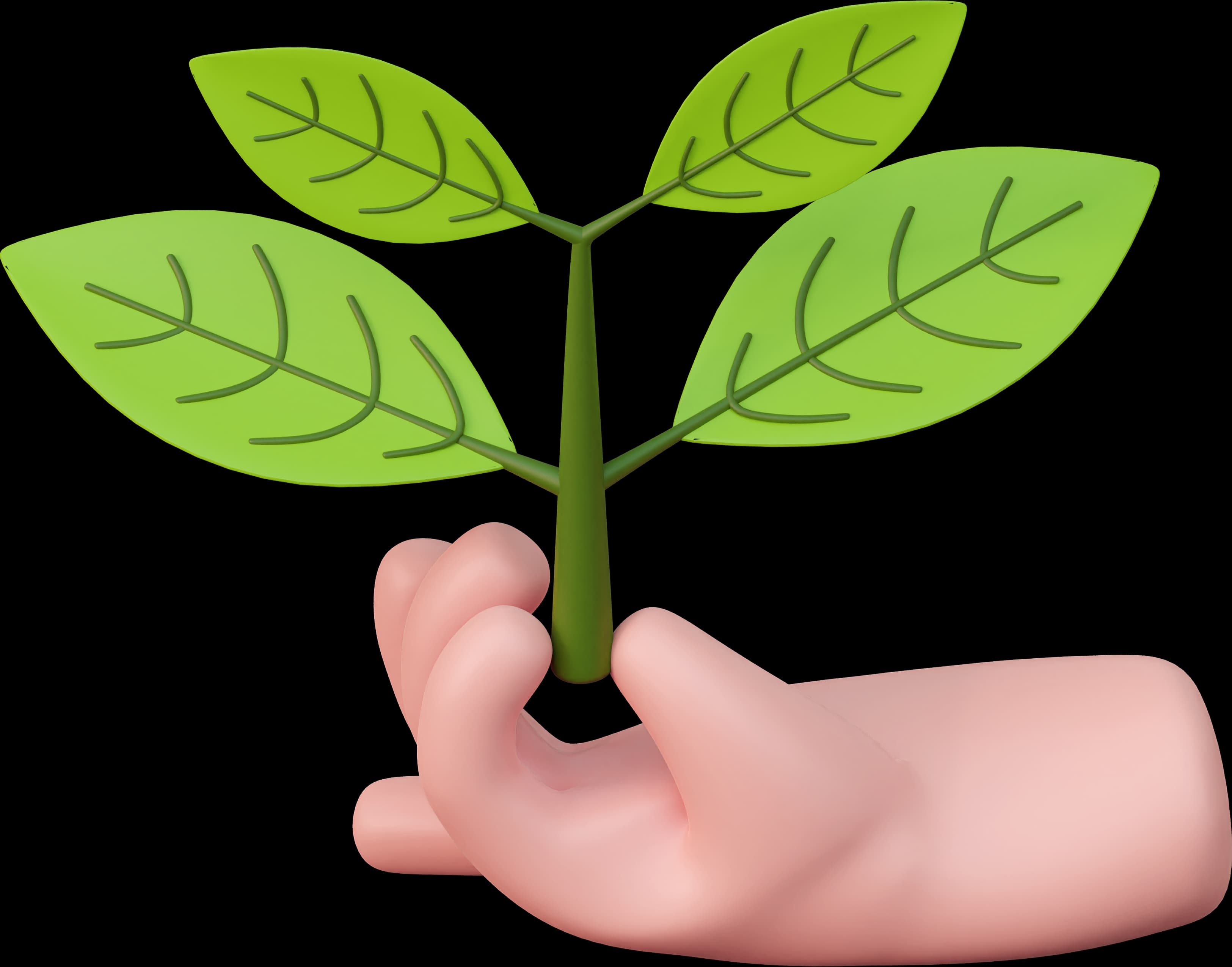 plant