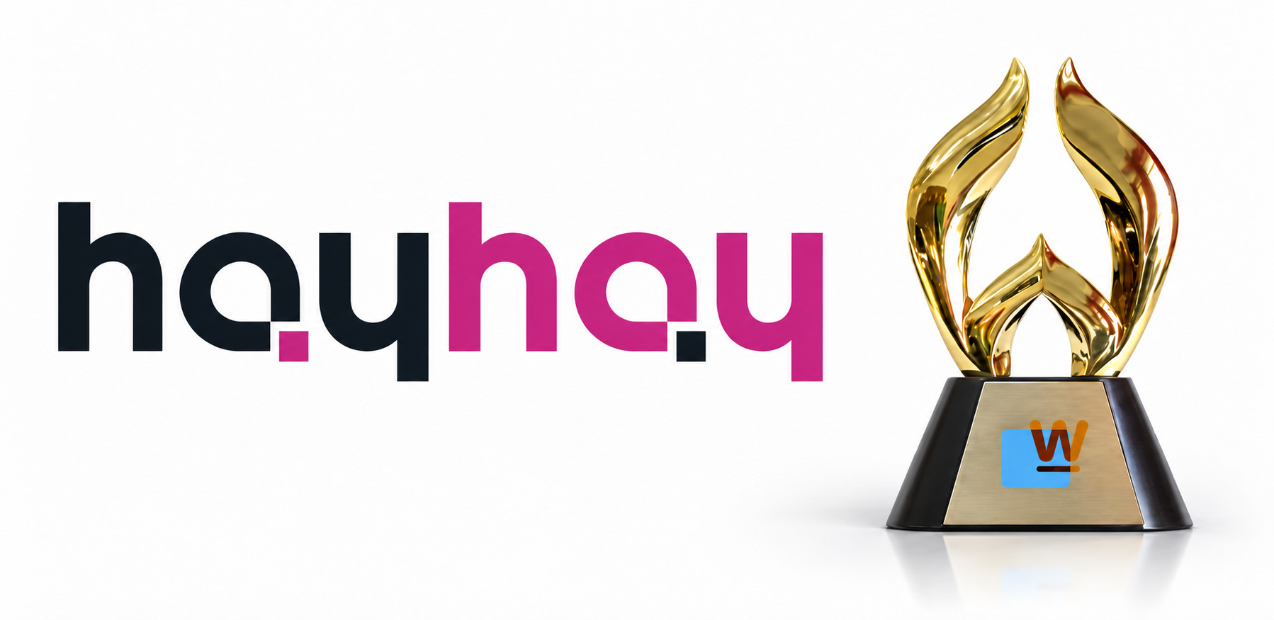 Hayhay’a WebAwards 2026 - Standard of Excellence Ödülü